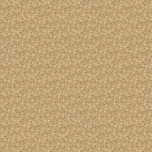 Always and forever 1668N1